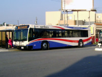 1696514119_Newsamtransbus.jpg